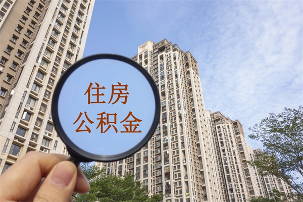 灌云去年11月提的公积金今年几月（去年12月提的公积金今年几月可以提）